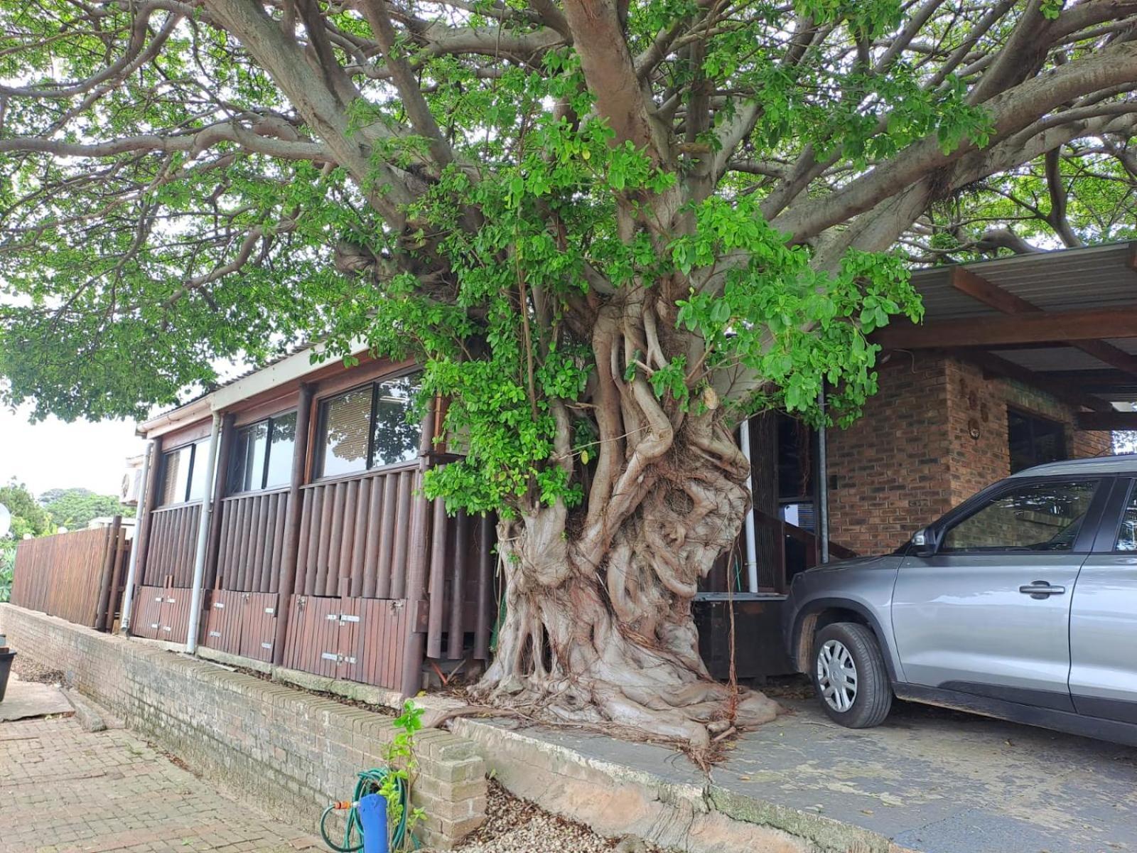 Seaviews Holiday Resort Jeffreys Bay Exterior foto